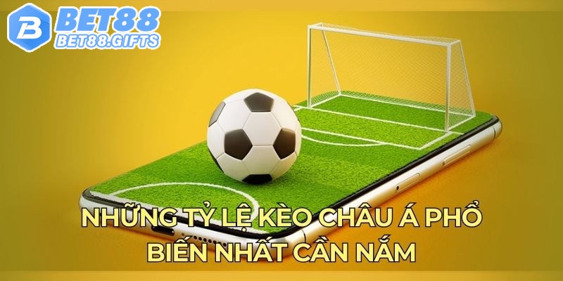 Những tỷ lệ kèo châu Á phổ biến nhất cần nắm